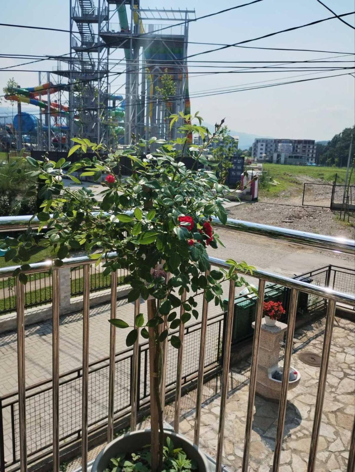 Apartman Raj Vrnjacka Banja Bagian luar foto